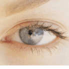 eyelid