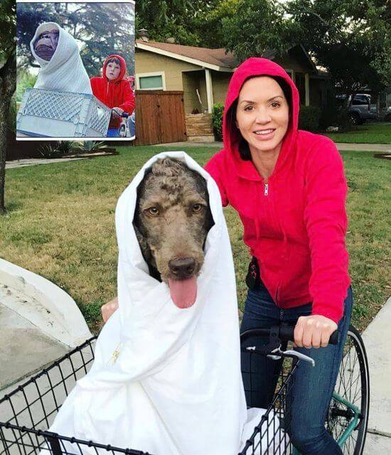 Happy Howl-o-ween
