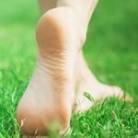 plantar warts
