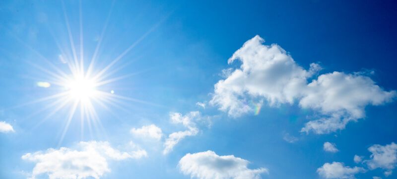 favorite sunscreens